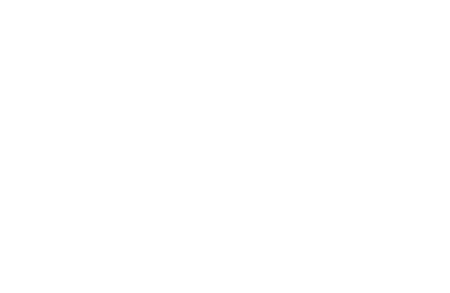 Wraps Redefined white logo